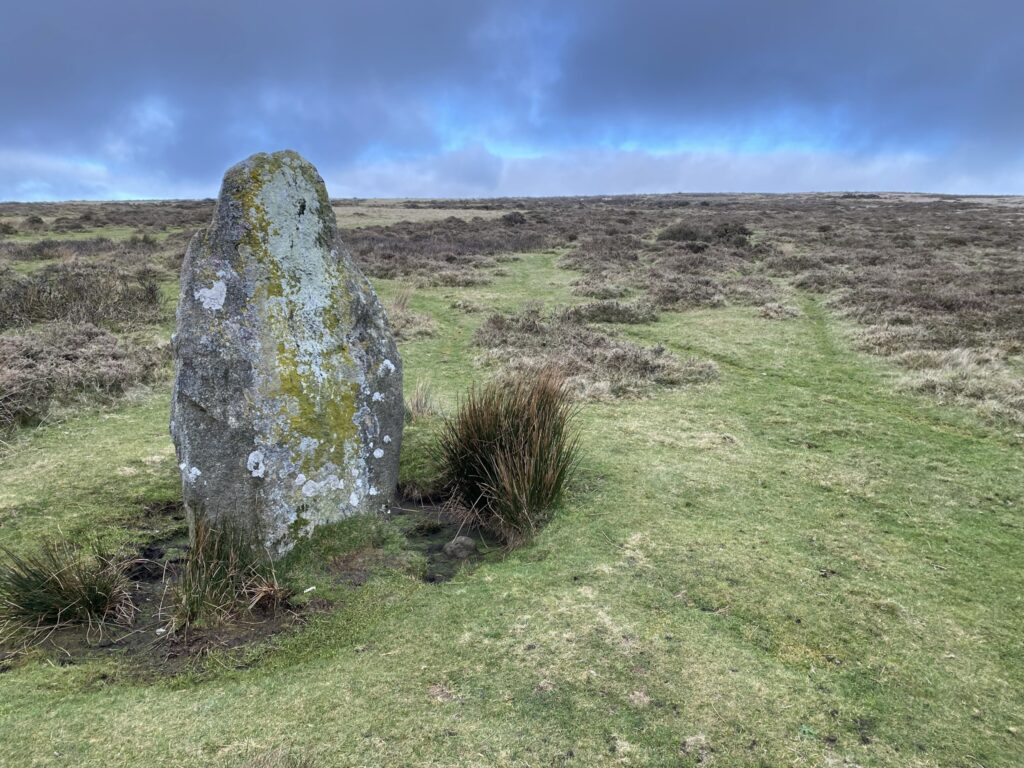 Waun Mawn